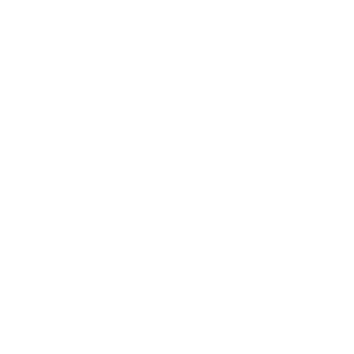 helmet icon