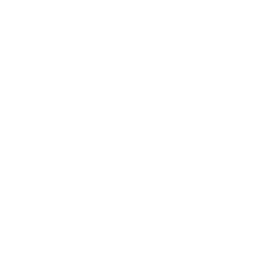 stadium icon